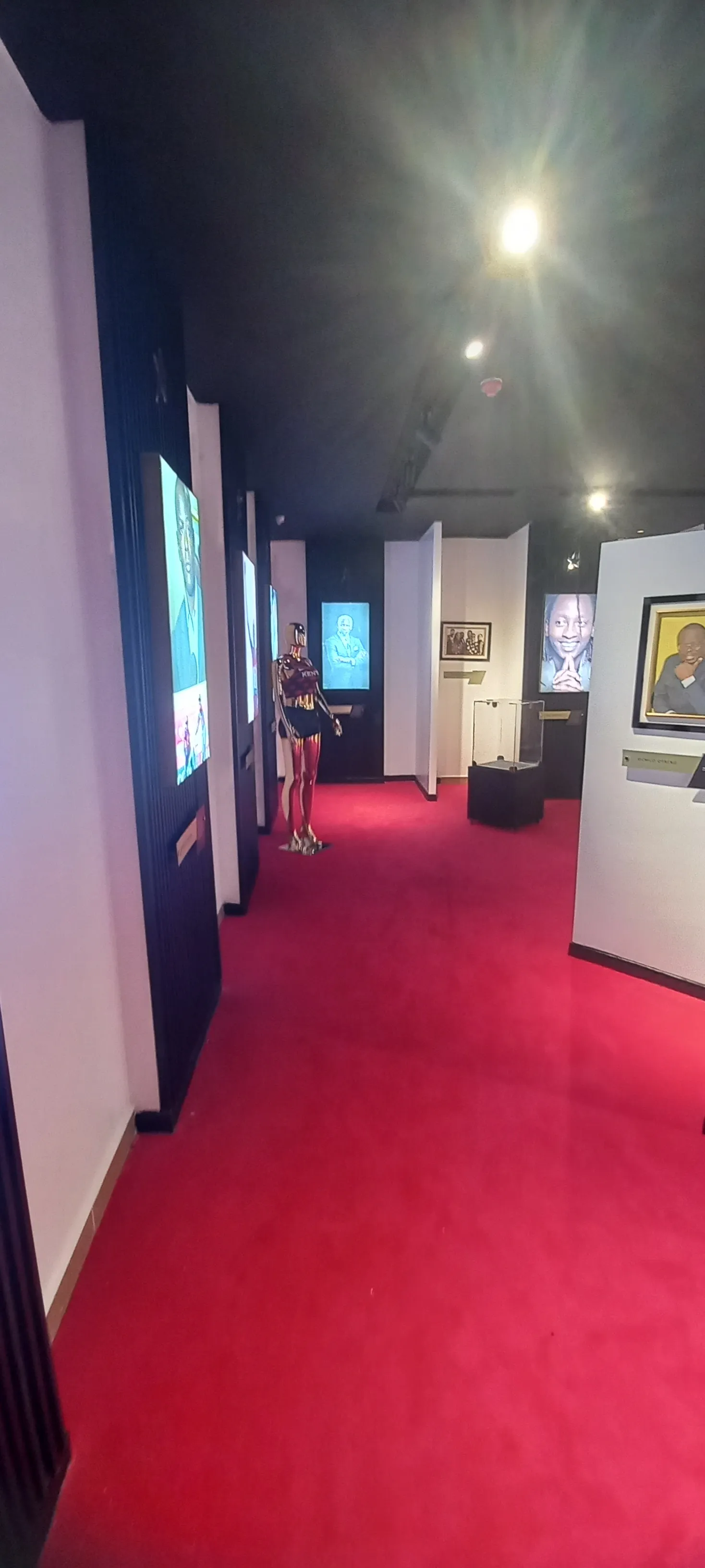 Carpeting Solutions project 3