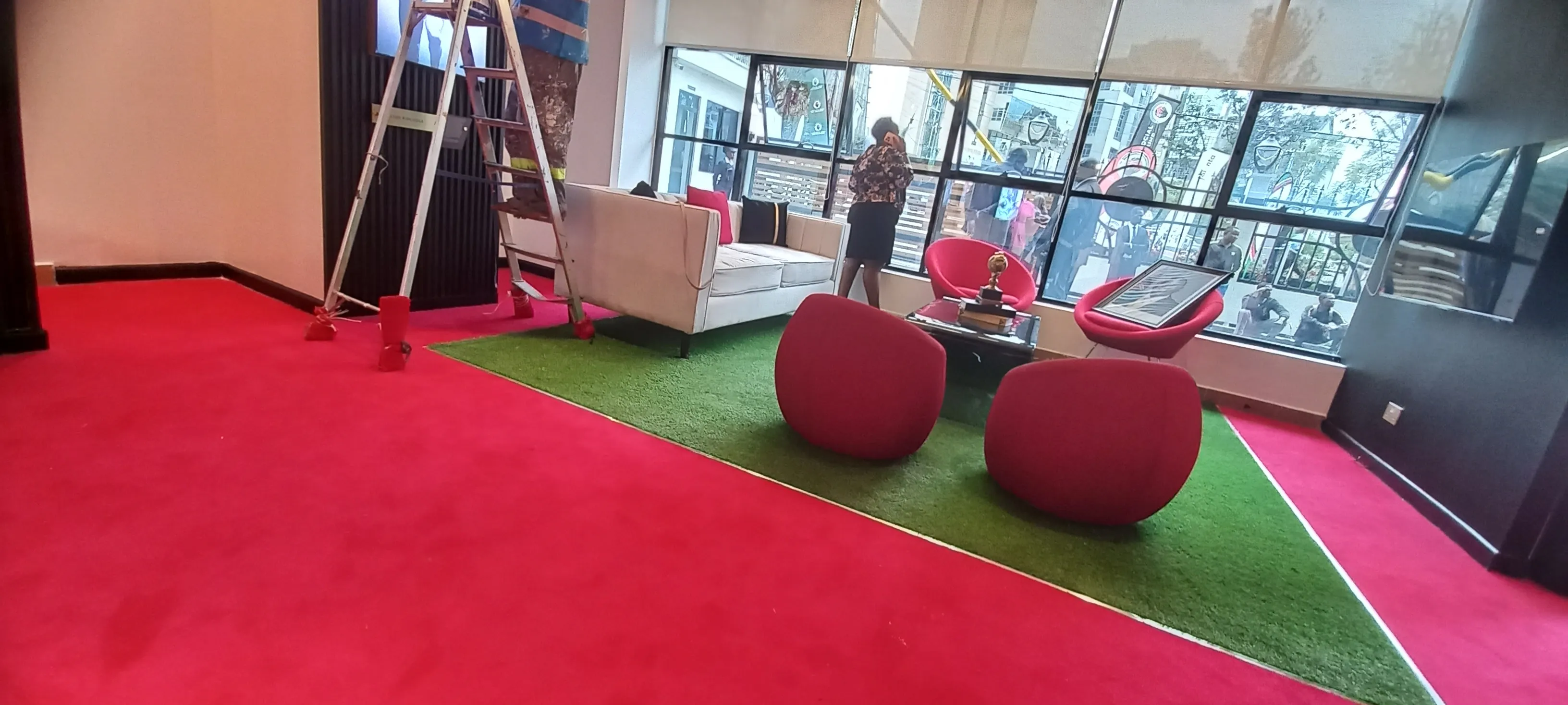 Carpeting Solutions project 4