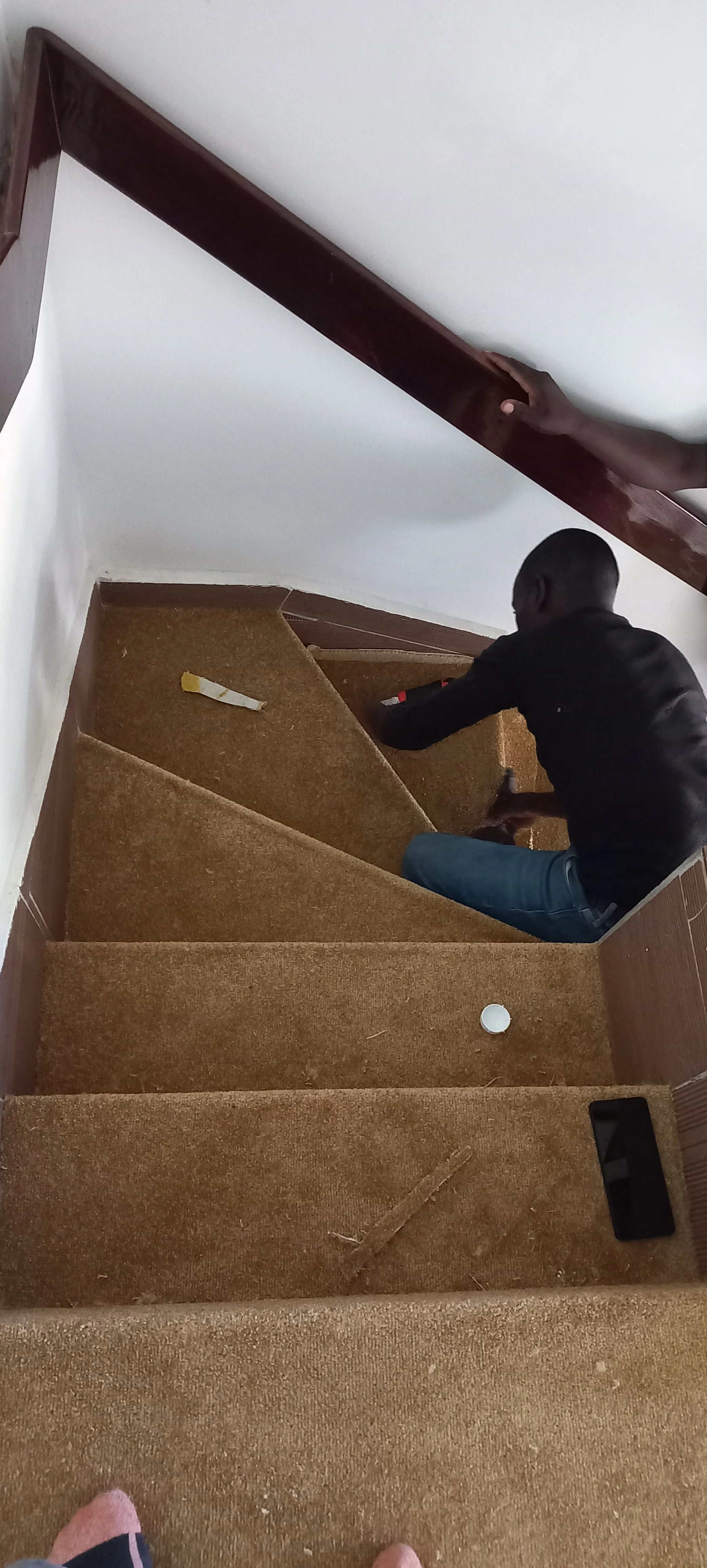 Carpeting Solutions project 6